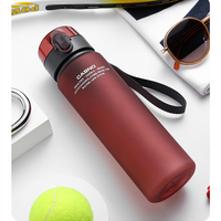 Insulated Sports Water Bottle