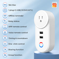 Smart WiFi Plug with USB Port
